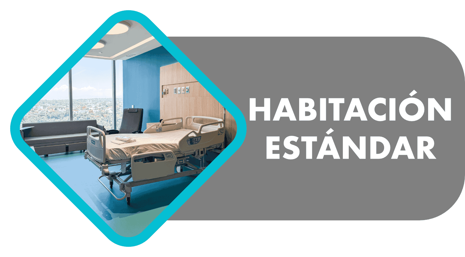 estandar