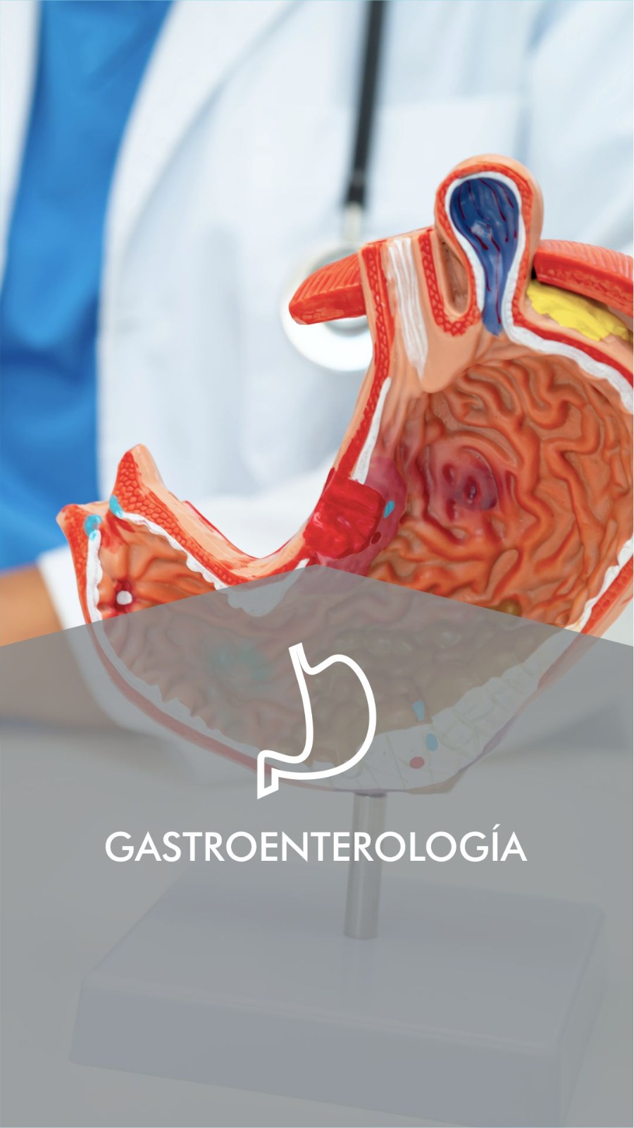Gastroenterología